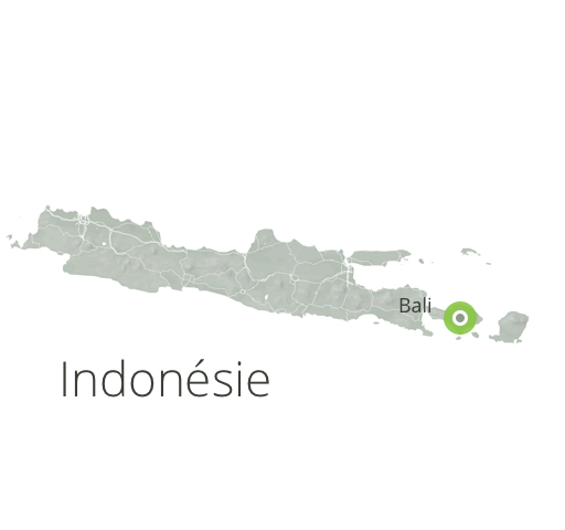 Kompromis menom Green Bali